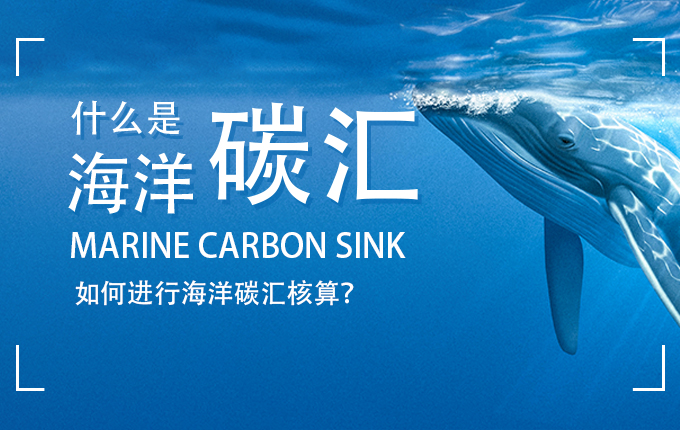 什么是“海洋碳汇”？如何进行海洋碳汇核算？